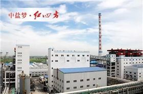 中鹽紅四方連續(xù)七年榮膺“中國化工企業(yè)500強” 技術(shù)創(chuàng)新與卓越服務(wù)的雙輪驅(qū)動