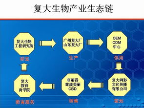 如何尋找技術過硬的化妝品OEM代加工工廠 從技術審核到推廣服務的全攻略